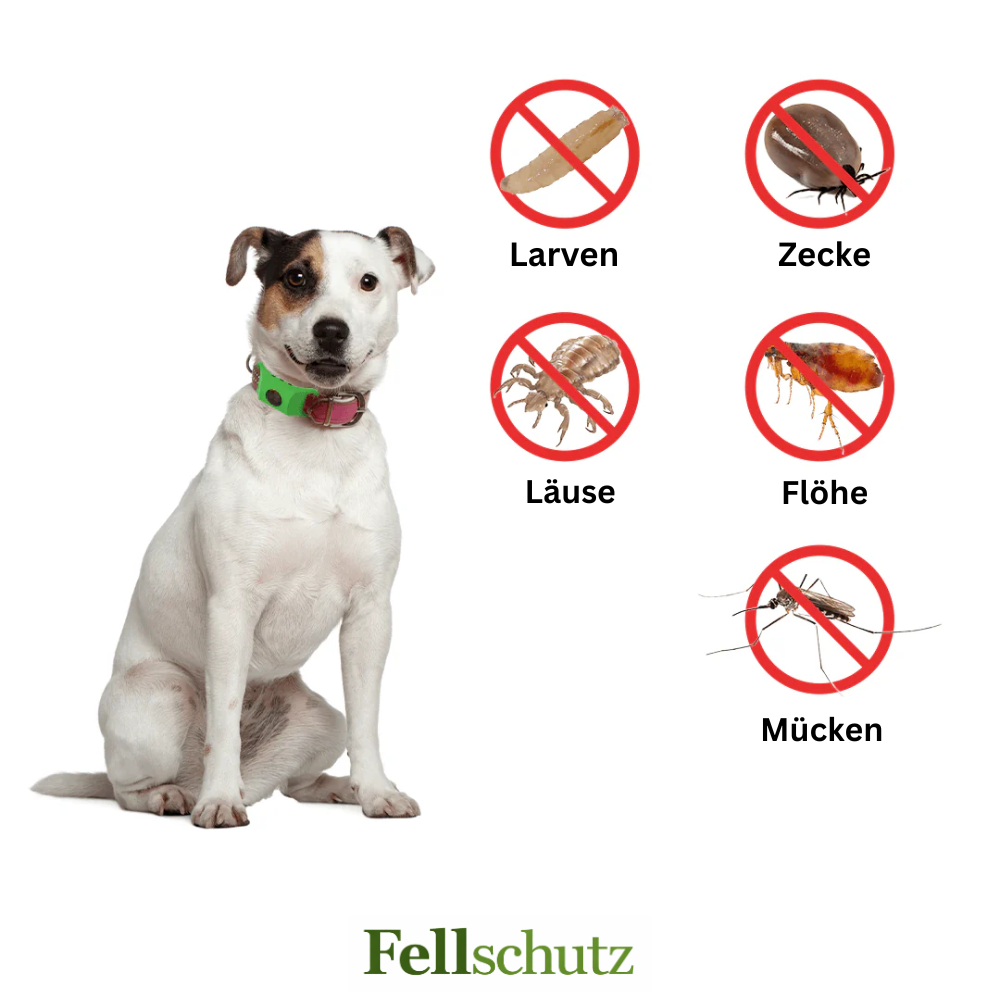 Natürlicher Schutz vor Zecken & Flöhen