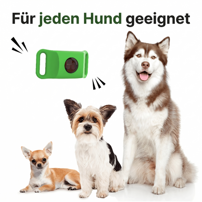 Natürlicher Schutz vor Zecken & Flöhen